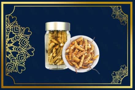 重庆市云阳回收散虫草